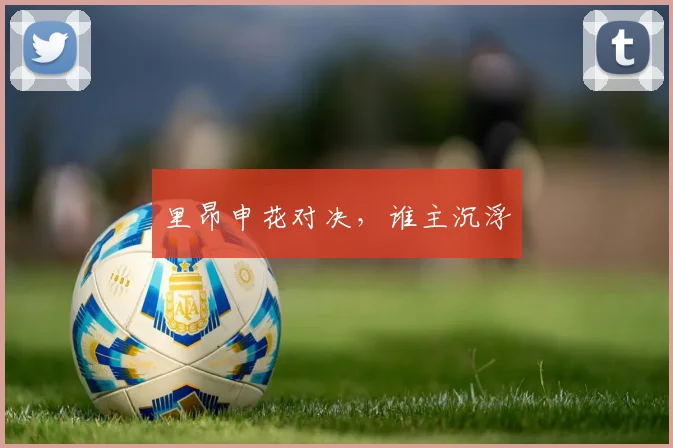 里昂申花对决，谁主沉浮
