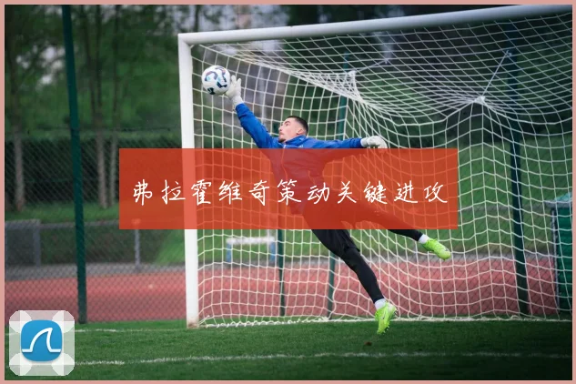 弗拉霍维奇策动关键进攻