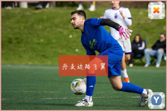 丹麦边路飞翼