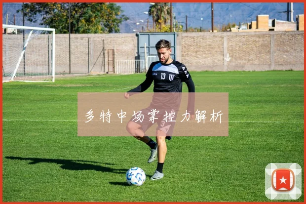 多特中场掌控力解析