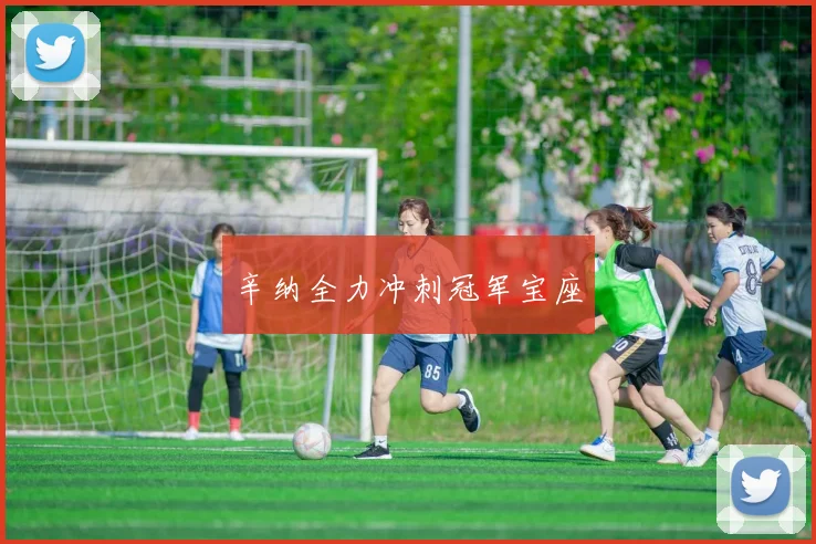 辛纳全力冲刺冠军宝座