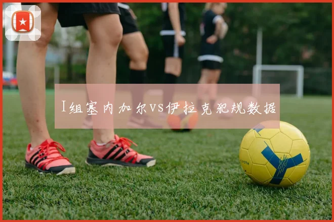 I组塞内加尔vs伊拉克犯规数据
