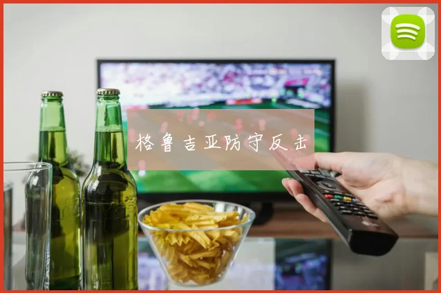 格鲁吉亚防守反击