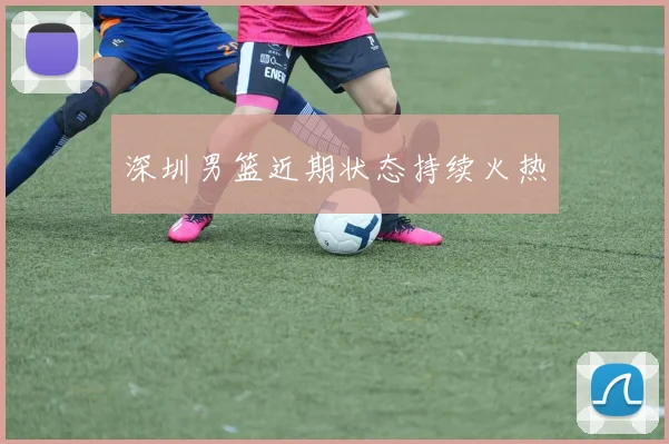 深圳男篮近期状态持续火热