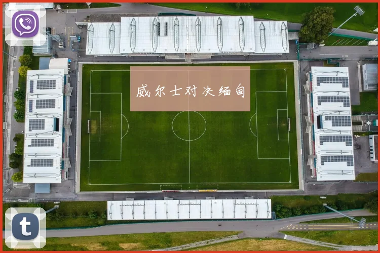 威尔士对决缅甸
