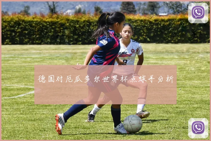 德国对厄瓜多尔世界杯点球手分析
