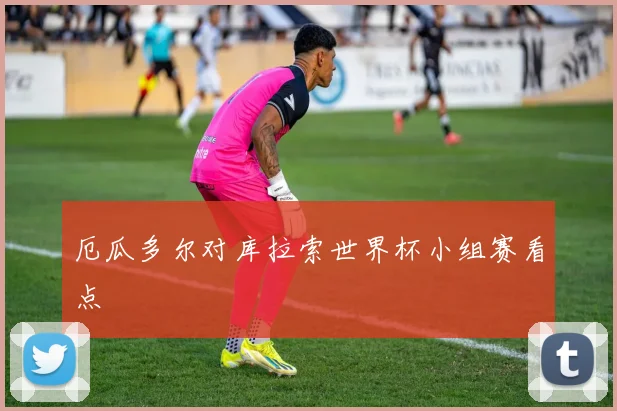 厄瓜多尔对库拉索世界杯小组赛看点