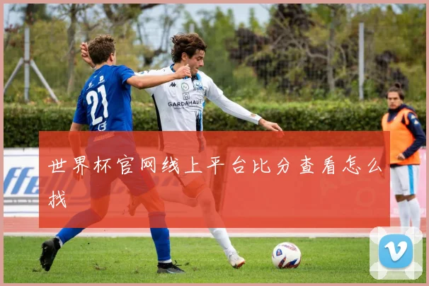 世界杯官网线上平台比分查看怎么找