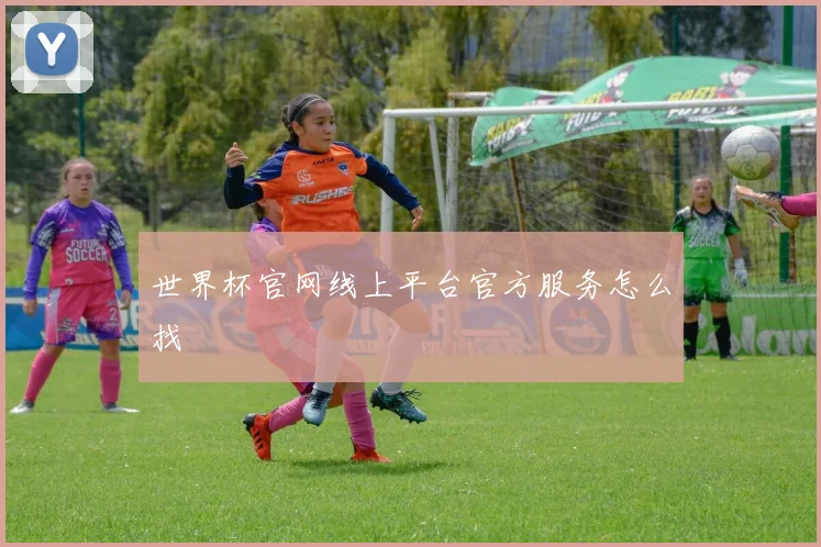 世界杯官网线上平台官方服务怎么找