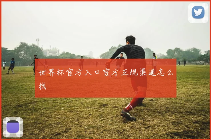 世界杯官方入口官方正规渠道怎么找