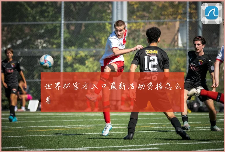 世界杯官方入口最新活动资格怎么看