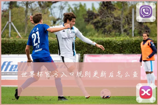 世界杯官方入口规则更新后怎么查
